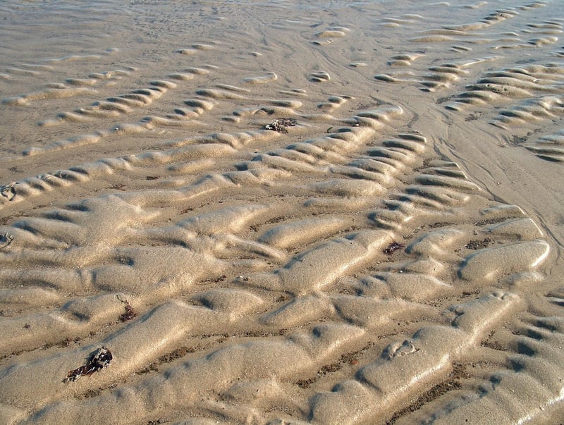 Street Food in Bangkok